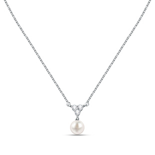 Stříbrný náhrdelník Morellato SAER50 