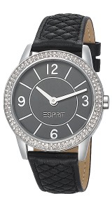 Dámské hodinky Esprit ES104352001 Heron Silver